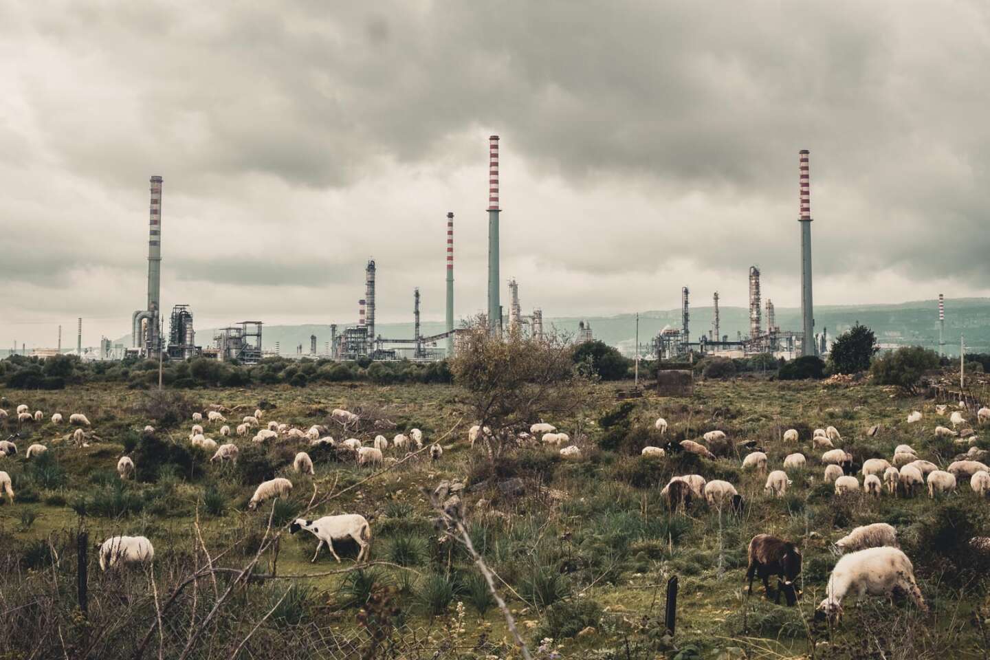 Le documentaire « Toxicily » propose, en Sicile, une promenade fiévreuse en terrain pollué par l’industrie pétrochimique