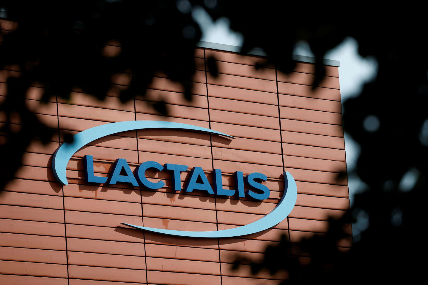 Le géant du lait Lactalis annonce un plan social touchant ses éleveurs français