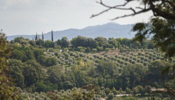 «Le nombril de l’Italie» : dans les jardins extraordinaires d'Ombrie