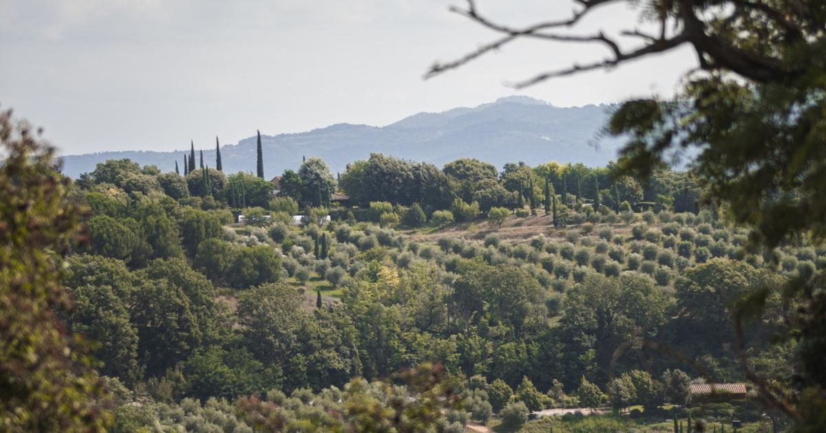 «Le nombril de l’Italie» : dans les jardins extraordinaires d'Ombrie