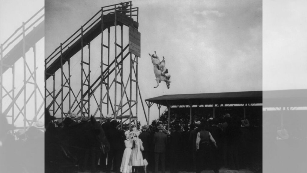 Le plongeon à cheval, l'attraction folle qui électrisa l'Amérique du Nord au début du XXe siècle