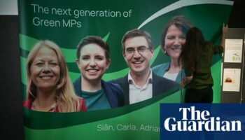 Leftwing Green party members form ‘anti-capitalist’ pressure group