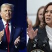 Legalizar la marihuana, la batalla compartida por Donald Trump y Kamala Harris