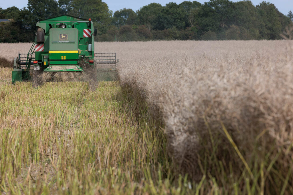 Les agriculteurs bio de Bretagne espèrent un « redémarrage » dans une « ambiance morose »