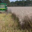 Les agriculteurs bio de Bretagne espèrent un « redémarrage » dans une « ambiance morose »