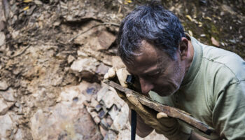 Les chasseurs de fossiles amateurs, des passionnés indispensables à la science