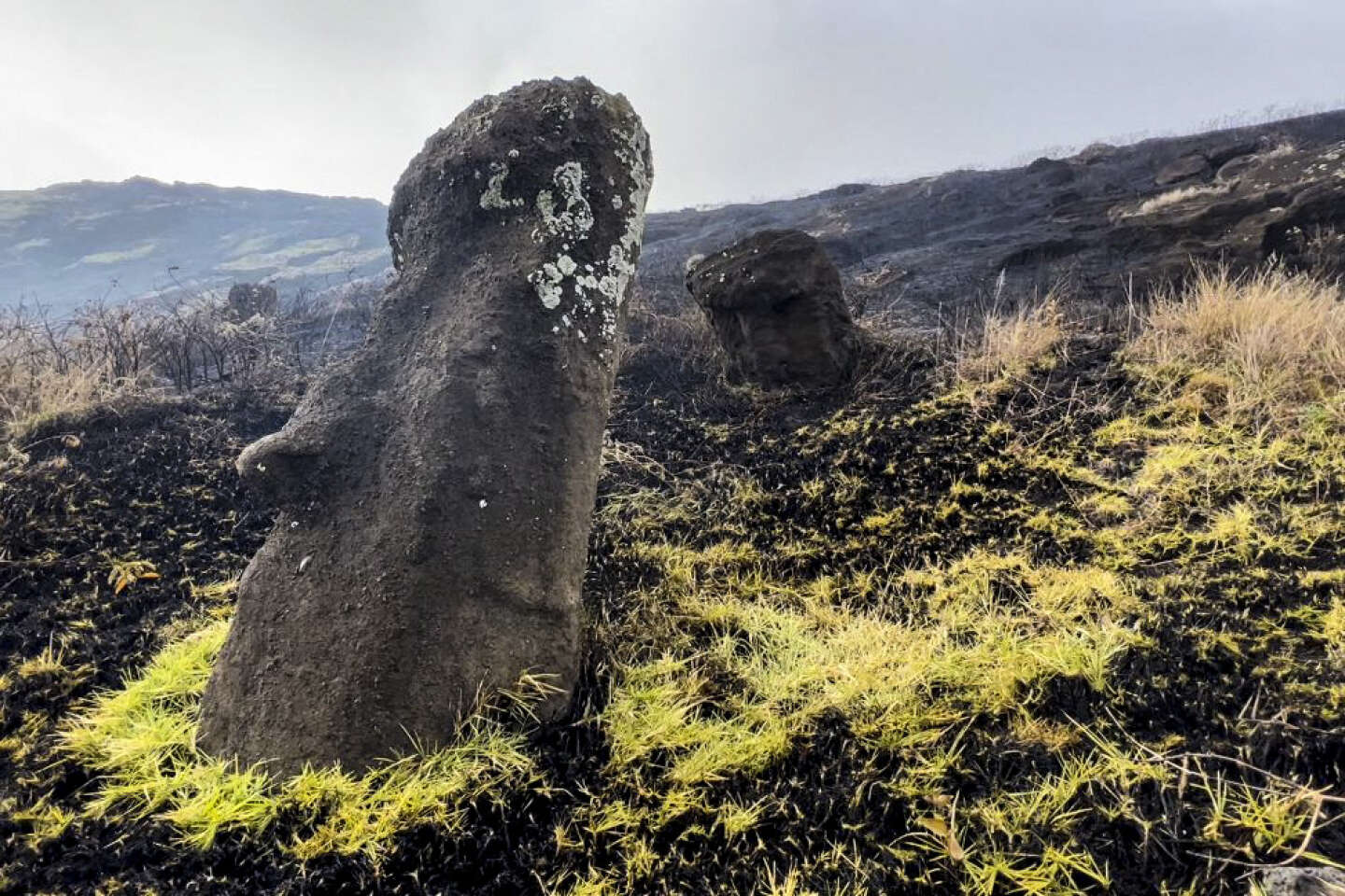 Les statues géantes de l’île de Pâques menacées par le changement climatique : « Il faut se rendre à l’évidence, on ne pourra pas toutes les protéger »