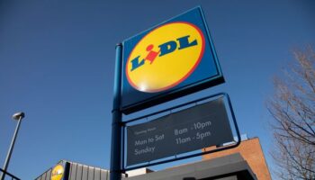 Lidl's new £1.99 shower gels are 'as good as' £23 Lush ones, shoppers say