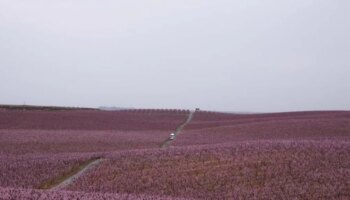 Lograr una hipoteca para comprar fincas agrícolas, una misión casi imposible