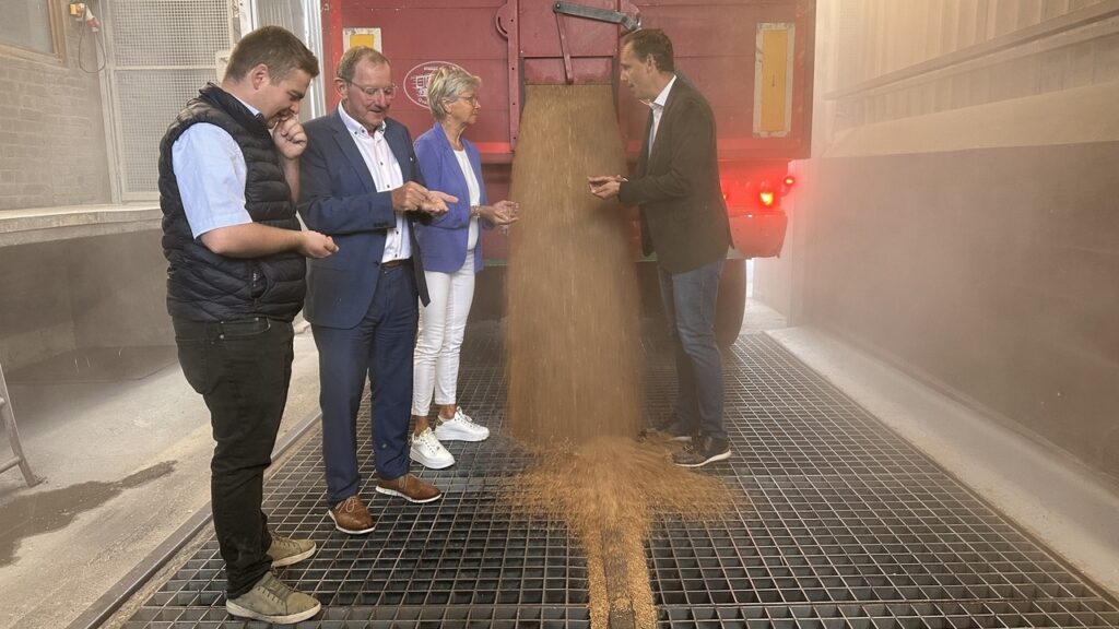 Malgré la pluie: Une récolte céréalière assez décevante au Luxembourg