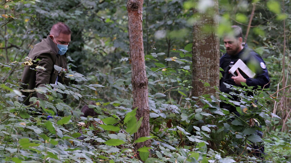 Meurtre de Philippine au bois de Boulogne : le récit d’une traque de trois jours et trois nuits