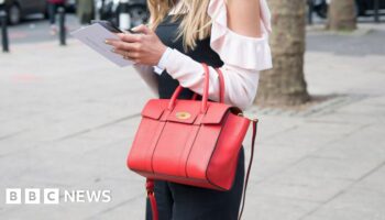 Mike Ashley's Frasers Group makes bid for Mulberry