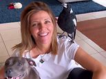 Molly the Magpie could be separated from her Staffordshire terrier friends AGAIN as fresh legal twist threatens to split family