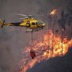 Mueren cinco militares tras estrellarse un helicóptero que luchaba contra un incendio en Portugal