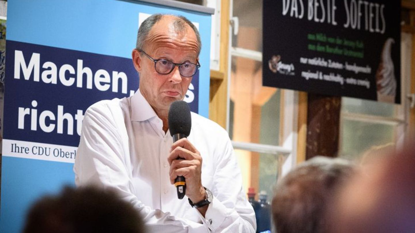 CDU-Chef Friedrich Merz spricht im CDU-Wahlkampf. Am 22. September ist Landtagswahl in Brandenburg. Foto: Bernd von Jutrczenka/d