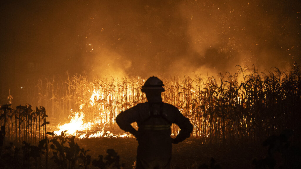 "On laisse tout brûler": Le Portugal toujours en proie à de violents feux de forêt