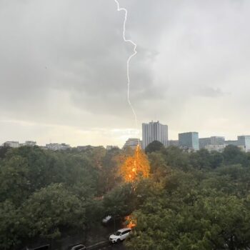 Orage à Paris : les images impressionnantes d’un arbre du cimetière Montparnasse frappé par la foudre