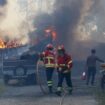 Portugal: Firefighters battle dozens of deadly wildfires