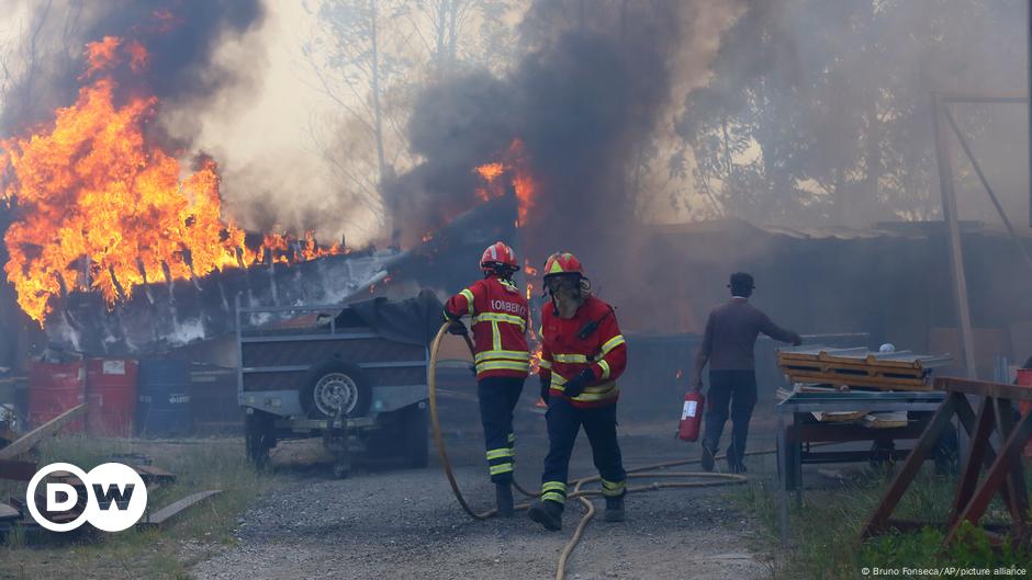 Portugal: Firefighters battle dozens of deadly wildfires