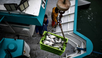 Pour sauver l’océan, l’appel de trente scientifiques de renom à une pêche réellement durable