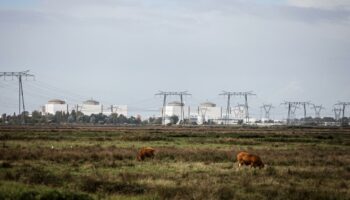 Près de la centrale nucléaire du Blayais, le périmètre de distribution des comprimés d’iode fait polémique