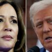 Présidentielle américaine : quand Donald Trump finançait les campagnes de Kamala Harris