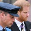 Prince William and Harry's relationship can be fixed by just one thing 'everyone is hoping' for