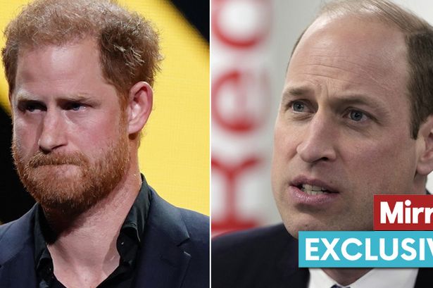 Prince William in 'difficult' realisation about his younger brother Harry