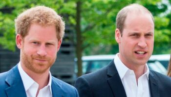 Prince William 'sent last-minute text to Prince Harry in olive branch move'