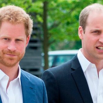 Prince William 'sent last-minute text to Prince Harry in olive branch move'