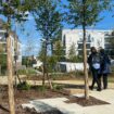 « Répondre aux défis environnementaux » : à Noisy-le-Grand, une forêt urbaine inaugurée, deux autres prévues