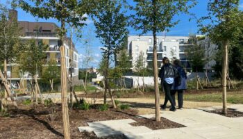 « Répondre aux défis environnementaux » : à Noisy-le-Grand, une forêt urbaine inaugurée, deux autres prévues