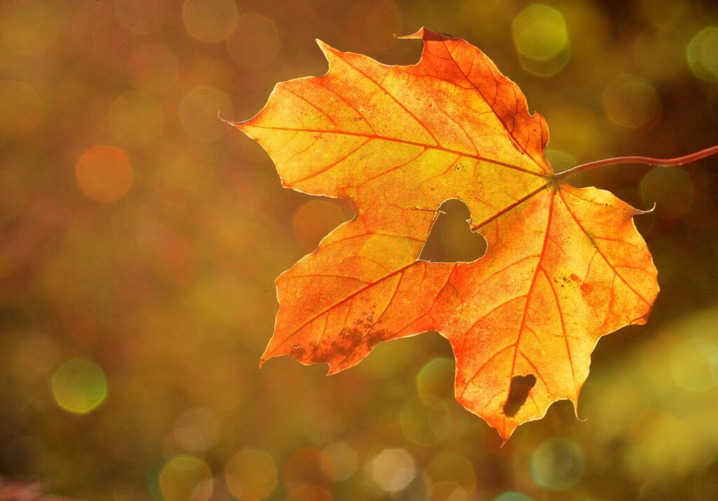 Retour de la pluie: L'automne débute aujourd'hui... et la météo va nous le rappeler !