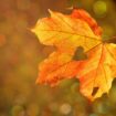 Retour de la pluie: L'automne débute aujourd'hui... et la météo va nous le rappeler !