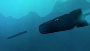 Royal Navy lauds its terrifying £60bn upgrades to Sting Ray submarine torpedoes