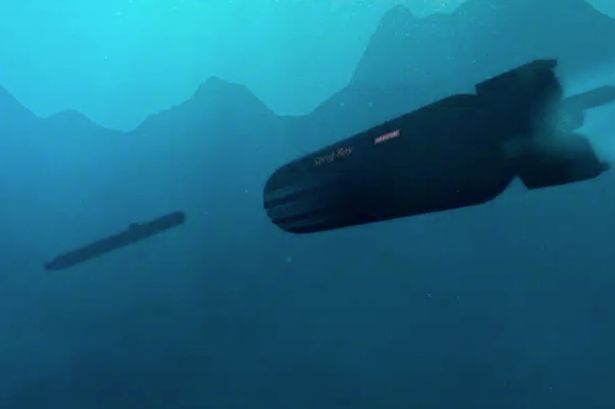 Royal Navy lauds its terrifying £60bn upgrades to Sting Ray submarine torpedoes