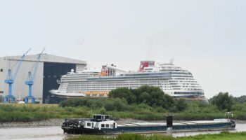 Die Meyer Werft ist bekannt für riesige Kreuzfahrtschiffe. (Archivbild) Foto: Lars Penning/dpa