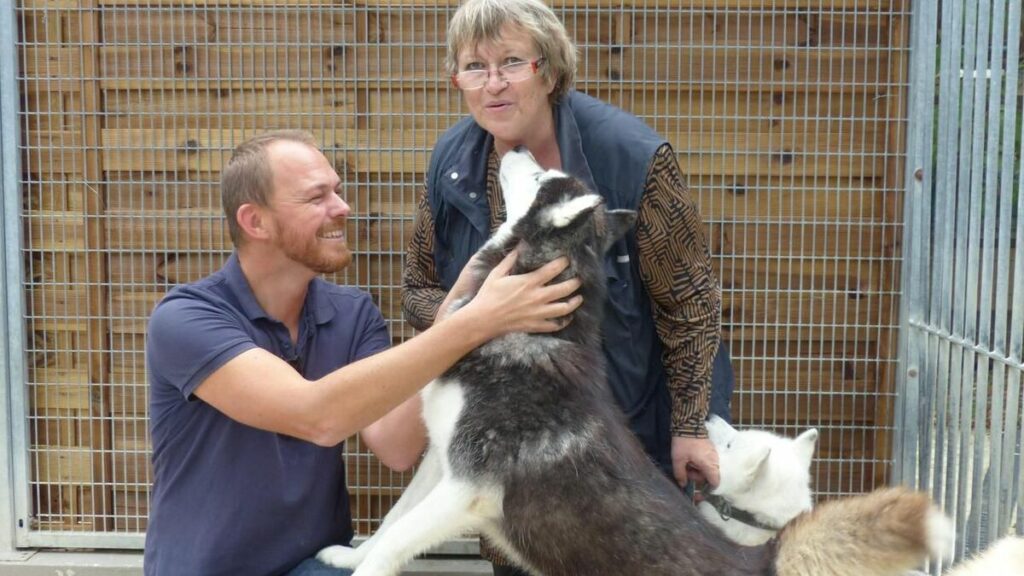 Seine-et-Marne : après un été catastrophique, des centaines de chiens et chats à adopter