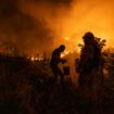 Série de feux de forêt: Le Portugal appelle à l'aide européenne