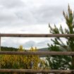 Sierra de la Demanda y Pinares: el paraíso de los amantes del senderismo y del cicloturismo