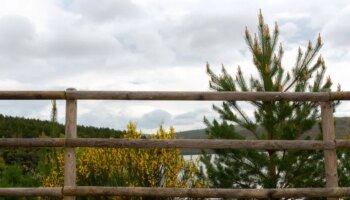 Sierra de la Demanda y Pinares: el paraíso de los amantes del senderismo y del cicloturismo