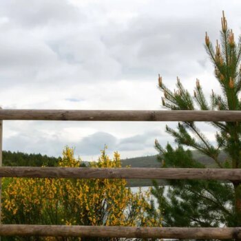 Sierra de la Demanda y Pinares: el paraíso de los amantes del senderismo y del cicloturismo