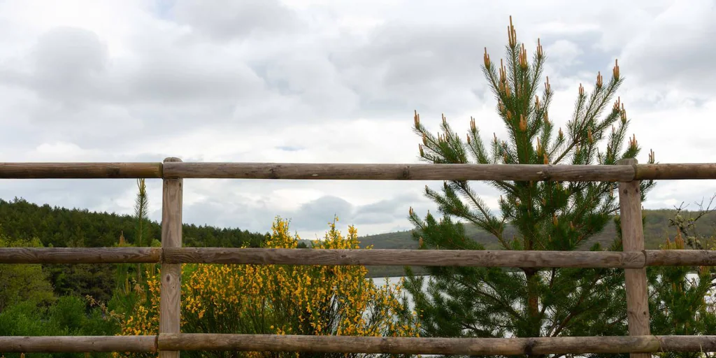 Sierra de la Demanda y Pinares: el paraíso de los amantes del senderismo y del cicloturismo