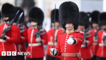 Soaring cost of King’s Guards' real fur bearskin caps revealed