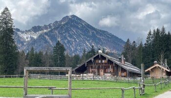 Söllbachtal: Saurüsselalm: Rechtsstreit geht in die nächste Runde