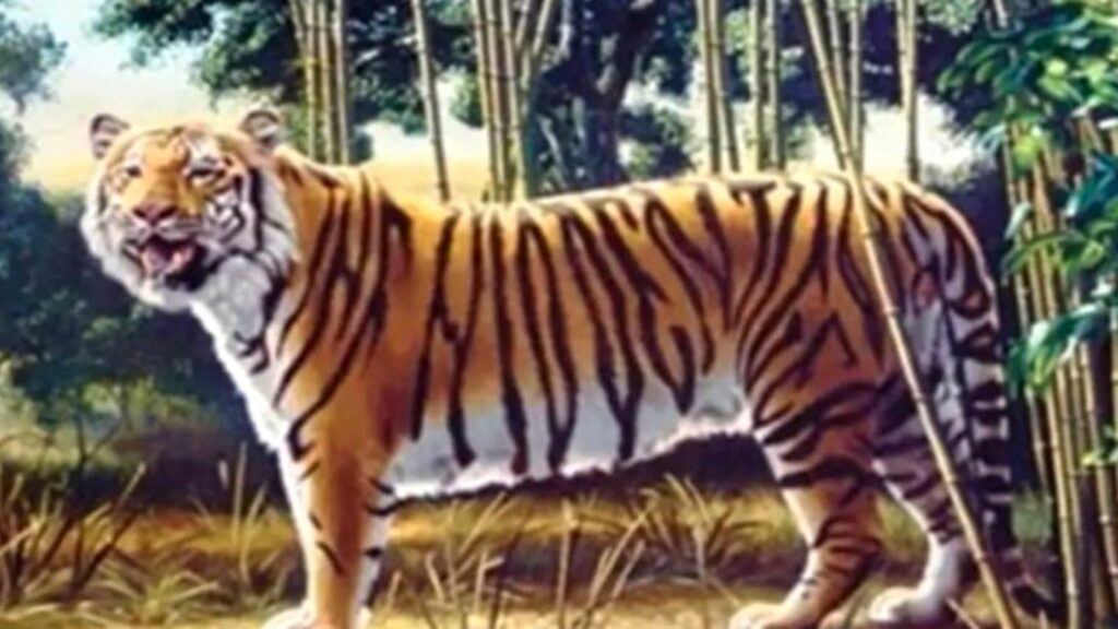 Suchbild: Augentest: Finden sie den zweiten "versteckten Tiger" im Bild?