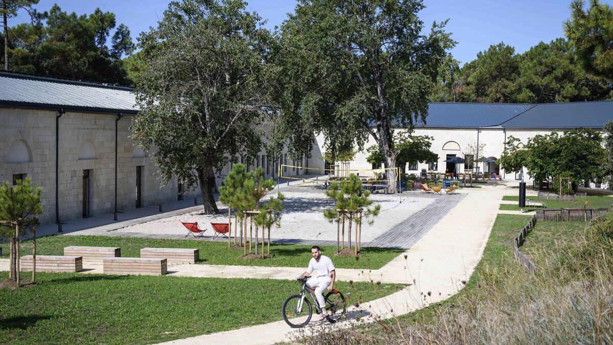 Sur l’île d’Oléron, Xavier Niel a aménagé une « colonie de vacances » pour les étudiants et salariés de l’École 42