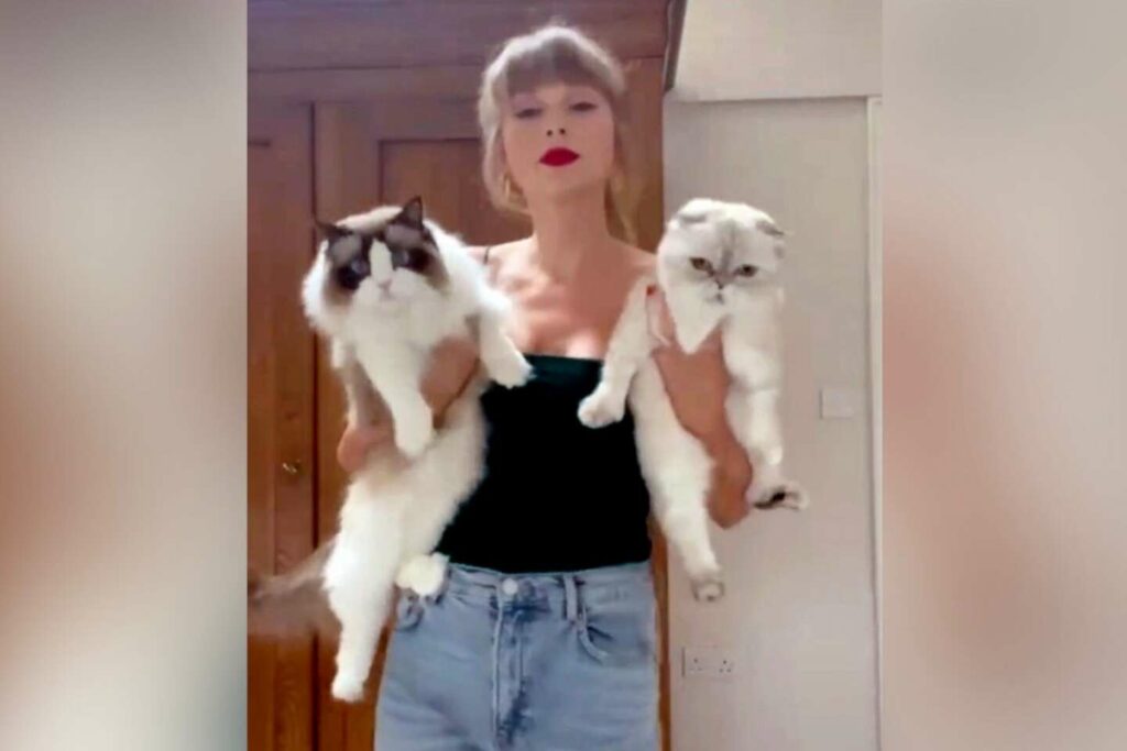 Taylor Swift et Kamala Harris, des « femmes à chat sans enfant » : « Aux yeux des hommes de pouvoir, une femme sans enfant apparaît comme une femme suspecte »