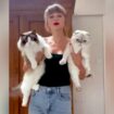 Taylor Swift et Kamala Harris, des « femmes à chat sans enfant » : « Aux yeux des hommes de pouvoir, une femme sans enfant apparaît comme une femme suspecte »