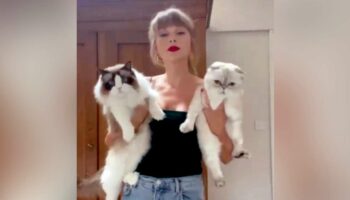 Taylor Swift et Kamala Harris, des « femmes à chat sans enfant » : « Aux yeux des hommes de pouvoir, une femme sans enfant apparaît comme une femme suspecte »